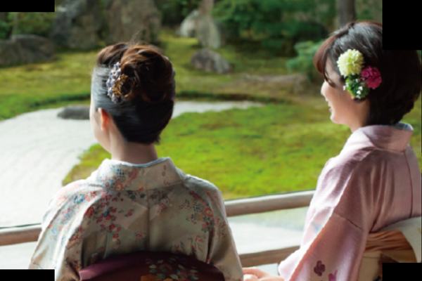 新作着物が入荷しました